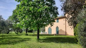 an old church with a tree in a field at Podere Il Cerrone app Romilda con piscina in Fauglia