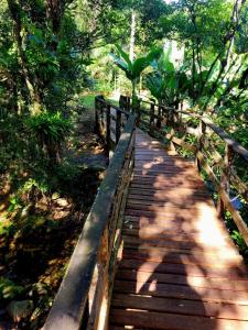 uma ponte de madeira no meio de uma floresta em Sitio Bonanza em Guaratuba