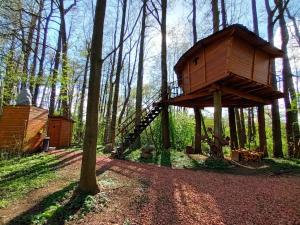 Garden sa labas ng Treehouse v Brdech