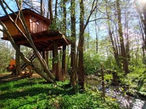 a tree house in the middle of the woods at Treehouse v Brdech in Bohutín