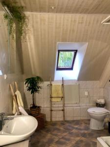 a bathroom with a toilet and a sink and a window at Hof KuMa in Uelzen