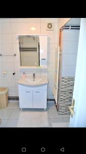 uma casa de banho com um lavatório, um espelho e um chuveiro em Ferhadija Apartment em Sarajevo