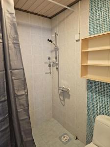 a bathroom with a shower and a toilet at Majoitus Kulma in Ilomantsi