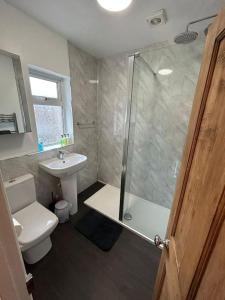 a bathroom with a shower and a toilet and a sink at Mountain views in the heart of Brecon Town in Brecon
