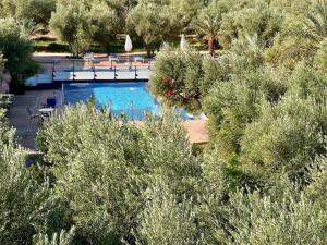 - une vue sur la piscine bordée d'arbres dans l'établissement Hotel L'Oliveraie Jnane Zitoune, à Marrakech