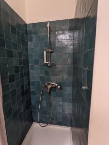 uma casa de banho com um chuveiro com azulejos azuis em Villa provençale Stella Maris em Toulon