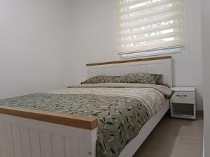 Postel nebo postele na pokoji v ubytování Apartman Spasić 2