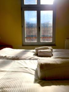 Un dormitorio con dos camas frente a una ventana. en RAHA Apartments - Historischer Charme direkt am Domplatz, en Erfurt
