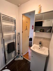 a small bathroom with a sink and a shower at Northumberland Caravan Holiday in Cresswell