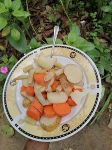 a bowl of food with carrots and onions at The Jungle Life Homestay Thangamalay Sanctuary Haputale by Gisela Sivam in Haputale