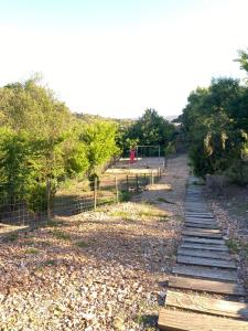 a path with wooden steps in a park at Colmeal Countryside Hotel in Figueira de Castelo Rodrigo