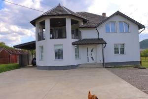 a dog standing in front of a white house at Casa Mihai Marius in Sighetu Marmaţiei