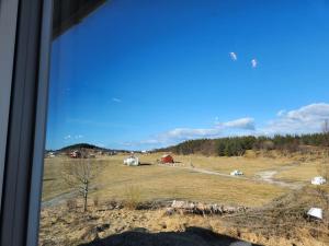 een uitzicht vanuit een raam van een veld met dieren bij Igerøya in Mo