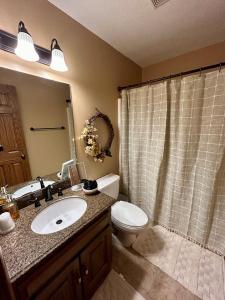 une salle de bain avec un lavabo, des toilettes et une douche dans l'établissement Warner-Concord Farms Bed & Breakfast, à Geneva 22 autres photos