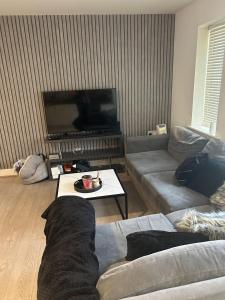 Inviting 2-Bed Apartment in Bushey في بوشي: غرفة معيشة مع أريكة وتلفزيون بشاشة مسطحة