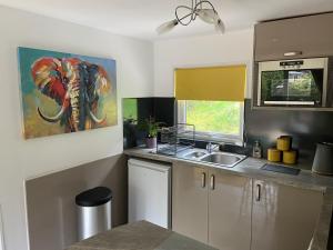 a kitchen with a sink and an elephant painting on the wall at Betty’s Hideaway in Caernarfon +35 photos