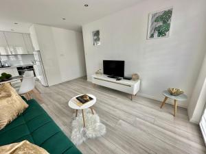 uma sala de estar com um sofá verde e uma televisão em Apartament Sobolewski em Sandomierz