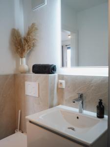 羅伊特的住宿－Ehrenberg Apartments，一间带水槽和镜子的浴室
