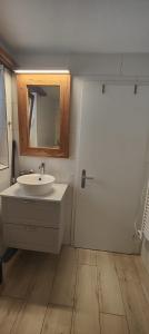 a bathroom with a white sink and a mirror at Gästehaus Spring Herznach in Herznach