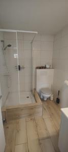 a bathroom with a shower and a toilet at Gästehaus Spring Herznach in Herznach