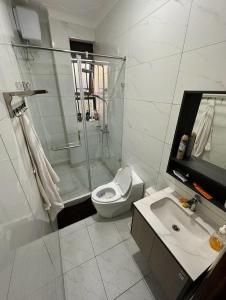 a bathroom with a shower and a toilet and a sink at Durlan metroplex in Kampala