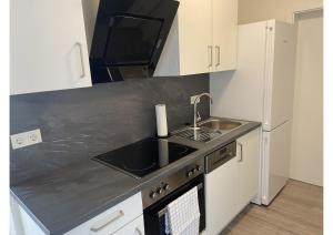 Kuchyň nebo kuchyňský kout v ubytování Kegelspiel Apartments