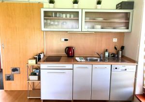 a small kitchen with white cabinets and a sink at Apartmán na Valašsku in Horní Bečva