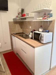 Küche/Küchenzeile in der Unterkunft Apartments Ivana Bibinje