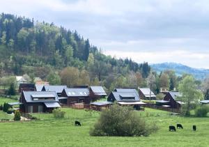 una manada de vacas pastando en un campo con casas en Apartmán na Valašsku en Horní Bečva