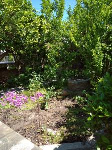 Galeriebild der Unterkunft The Lemon House by The Sea in Áyioi Apóstoloi