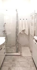 ブダペストにあるPalatinus apartmanの白いバスルーム(シャワー、タオル付)