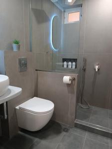 La salle de bains est pourvue d'une douche et de toilettes. dans l'établissement Ilios studios, à Vasiliki
