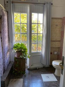 een badkamer met een toilet en een groot raam bij Edificio Quijano in Montevideo
