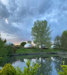 Photo de la galerie de l'établissement Gabala Yengice Thermal Resort Hotel, à Yengica