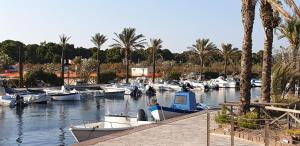 a bunch of boats docked in a marina with palm trees at CASA SANT'ANNA in SantʼAnna Arresi