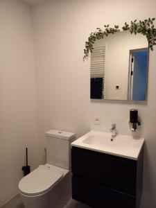 ein Badezimmer mit Toilette, Waschbecken und Spiegel in der Unterkunft Starling in Oud-Turnhout