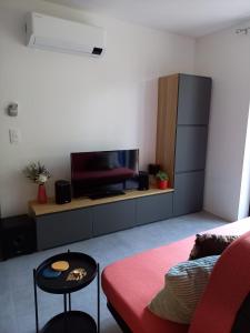 uma sala de estar com uma televisão e um sofá em Starling em Oud-Turnhout