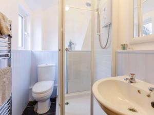 y baño con aseo, ducha y lavamanos. en 3 Bed in Bude 86887, en Kilkhampton