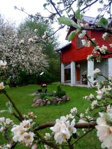 a red and white house with a yard with flowers at Садиба над потічком in Oriv