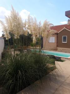 un patio con piscina, palmeras y una casa en Kuća za odmor L&L, en Bibinje