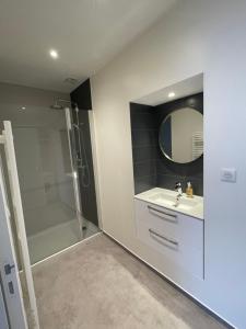 a bathroom with a shower and a sink and a mirror at Le Coeur de Rodez in Rodez +18 photos