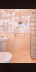 y baño con ducha, aseo y lavamanos. en Mossemarka Guesthouse en Moss
