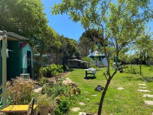 Un jardín con un invernadero y un árbol. en Yourte à La Campagnette, en Montpellier