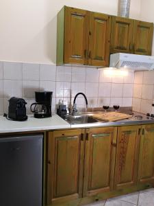 a kitchen with wooden cabinets and a sink at Ilios studios in Vasiliki