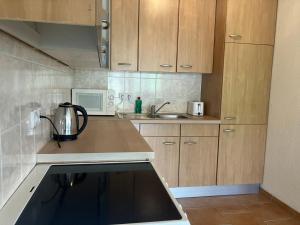 uma cozinha com um balcão e uma chaleira para chá em Apartman Miki em Teslic