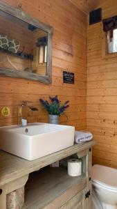 ein Badezimmer mit einem weißen Waschbecken und einem WC in der Unterkunft Willowdene shepherds hut in Oswestry