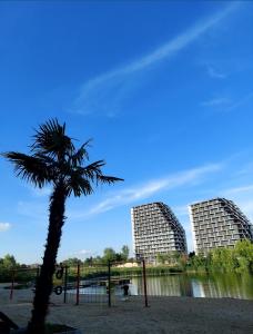 dos edificios altos con una palmera frente a un río en Apartament Nad Zalewem en Rzeszów