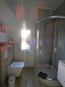 een badkamer met een douche, een toilet en een wastafel bij Hausboot Lena in Papenburg