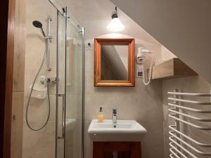 a bathroom with a shower and a sink and a shower at POD ROŻKAMI in Cisna