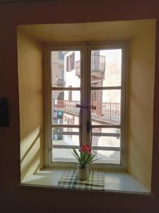 a window with a potted plant on a window sill at Monolocale in Piazzetta in Torre Pellice